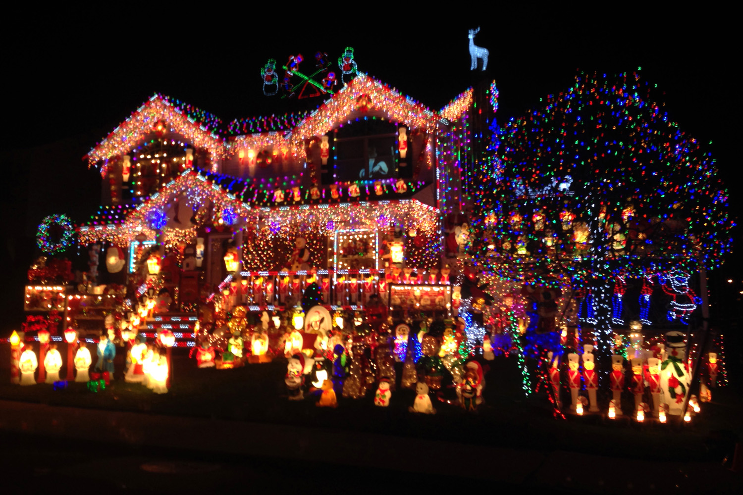 where to buy white christmas lights year round